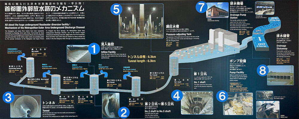 vol195-2g.jpg